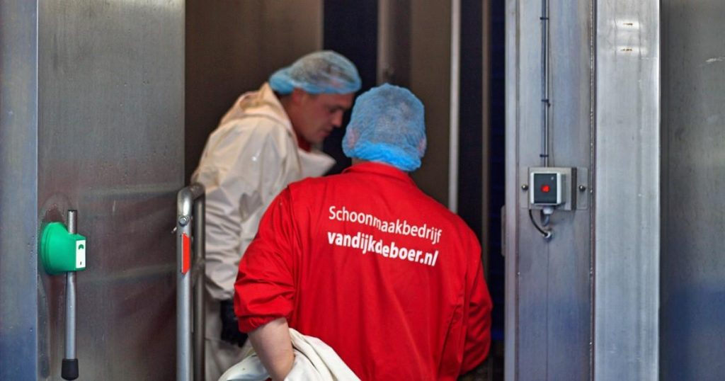 Professionele industriële reiniging zorgt voor een schone en efficiënte werkomgeving met kostenbesparende voordelen